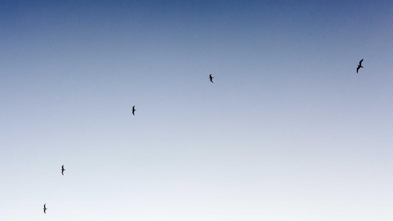 YBTY介绍